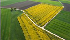 fields-of-play-home