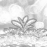 Purpose-led Growth